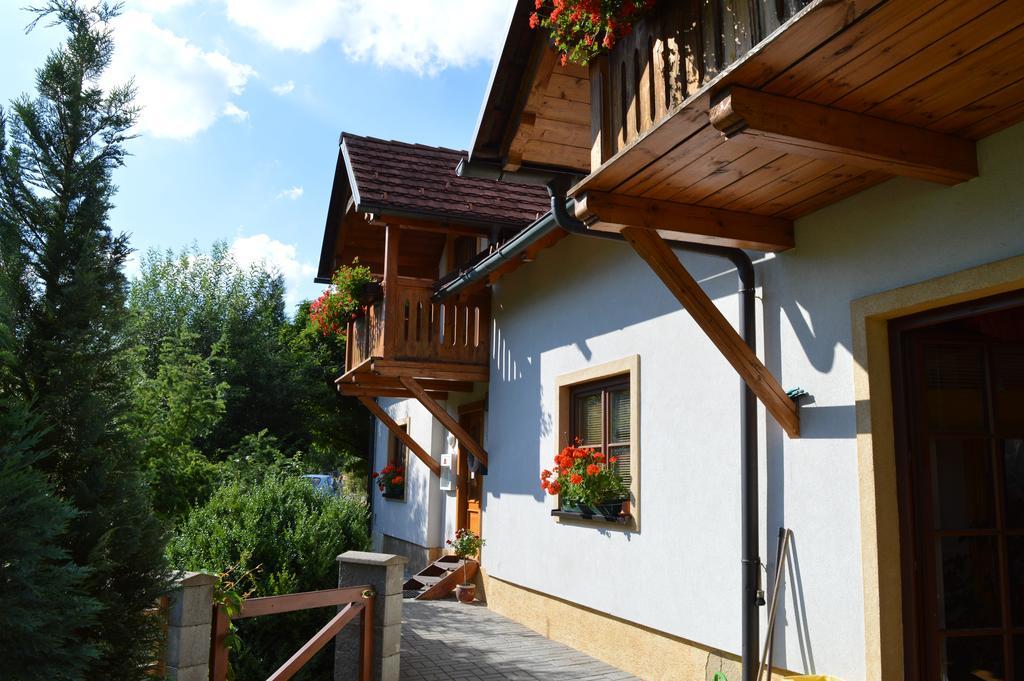 Pension Druhy Domov Novy Bor Exterior photo